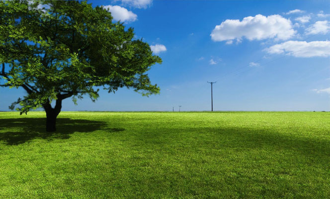 How To Replace The Sky In A image mac