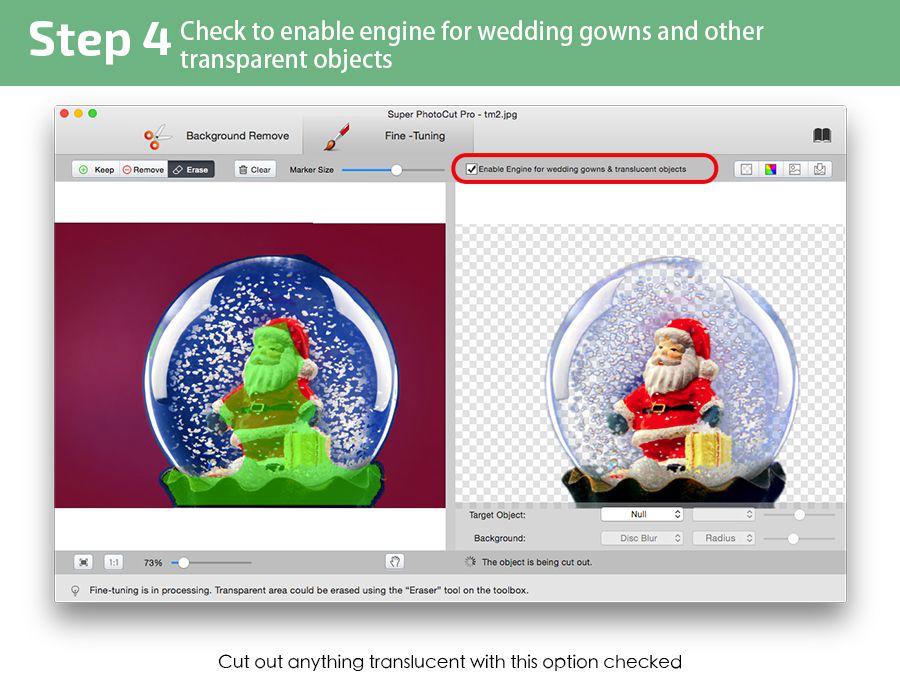 Transparent Object Cut out from image mac