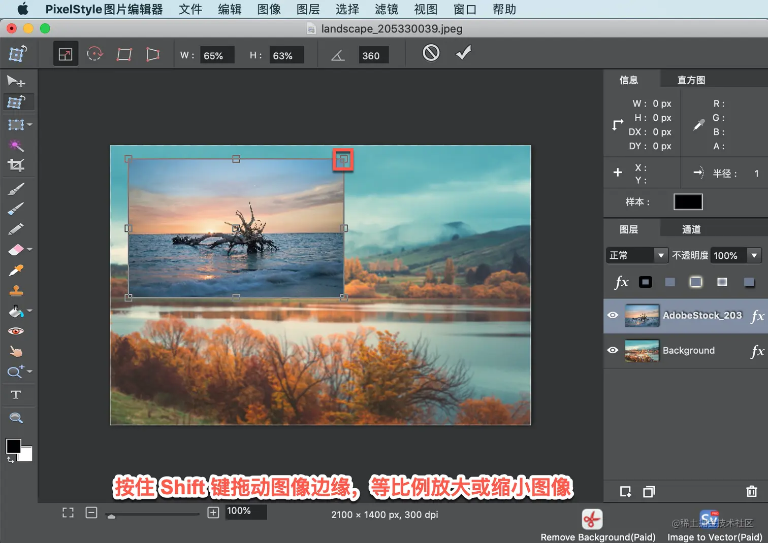image-size.webp